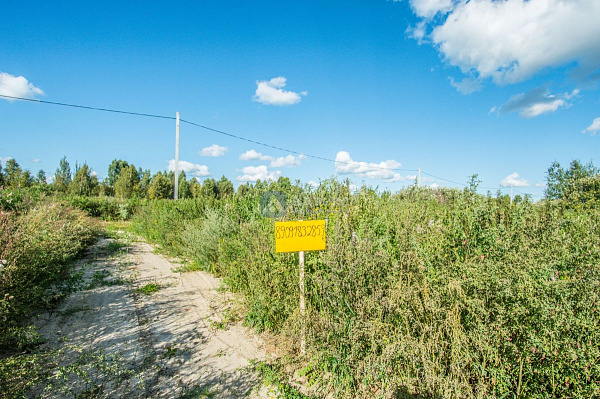 Участок, 10 сот.