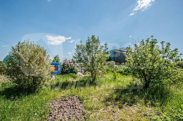 Участок 8 сот.