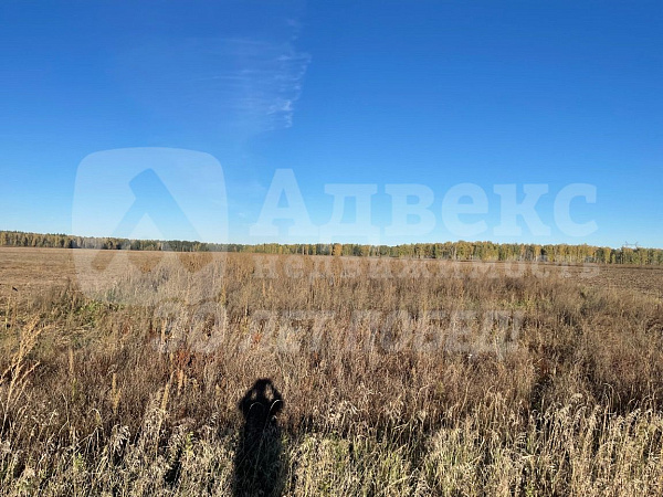 Участок 6.2 сот.