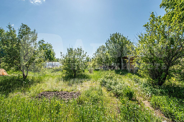 Участок 8 сот.