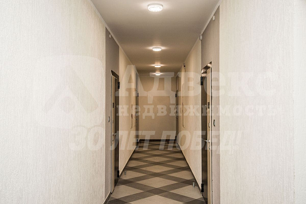 Квартира студия, 24 м²