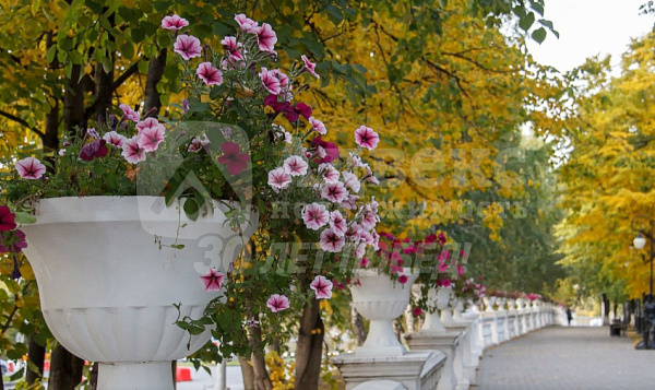 Квартира 1-комн., 33.8 м²