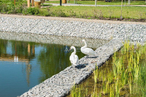 Квартира 2-комн., 81.08 м²