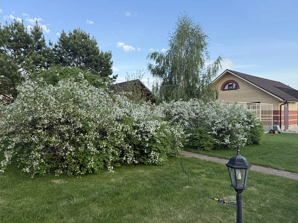 Коттедж 462 м²