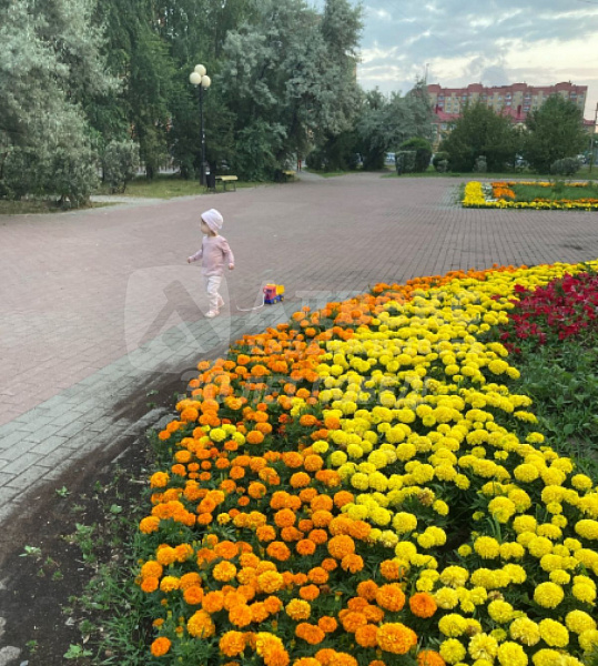 Квартира студия, 44.8 м²