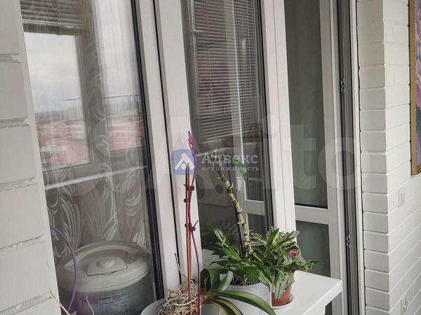 Квартира студия, 23 м²