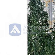 3-к квартира, 117 кв.м. 3-к квартира, 117 кв.м.