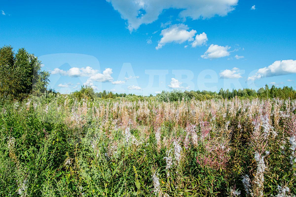 Участок, 10 сот.