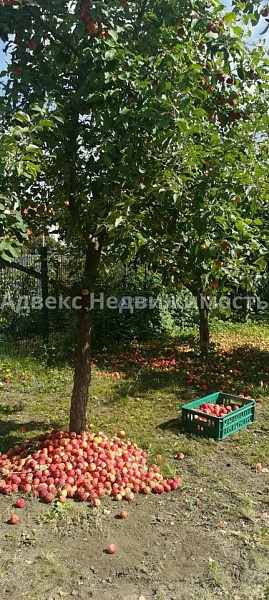 Коттедж 210 м²