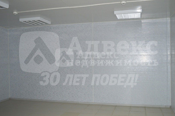 Продажа бизнеса 210.2 м²