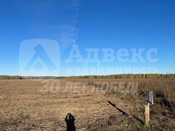 Участок 10 сот.