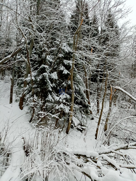 Участок, 12.5 сот.