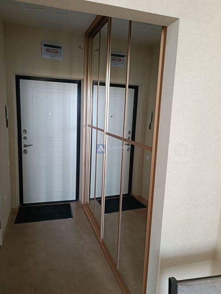 Квартира студия, 24 м²