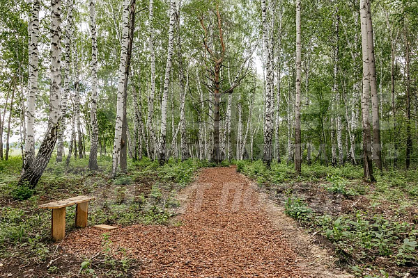 Участок, 11.54 сот.