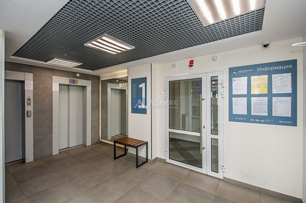 Студия, 24 кв.м.