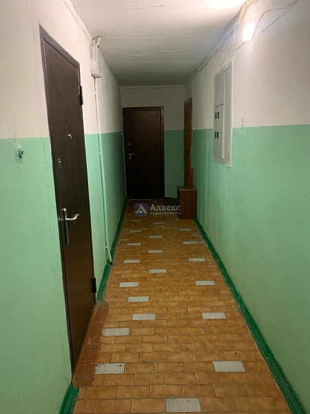 Квартира 1-комн., 33.5 м² Квартира 1-комн., 33.5 м²