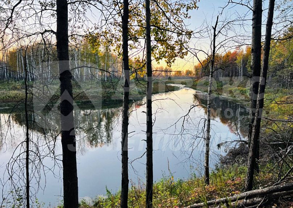 Дача/Коттедж, 170 кв.м.