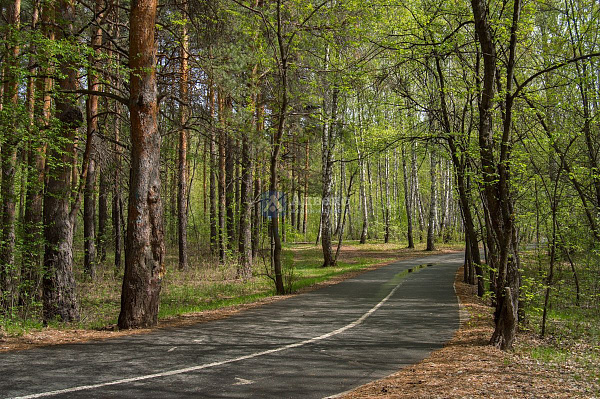 3-к квартира, 78 кв.м.