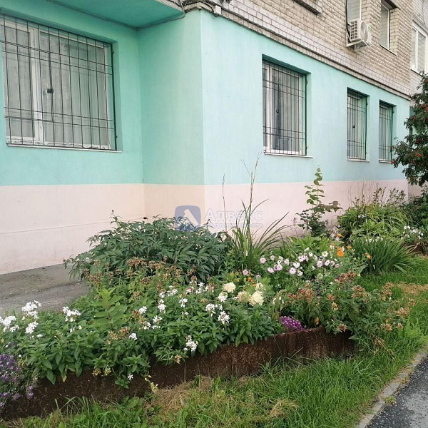 Квартира 1-комн., 53 м² Квартира 1-комн., 53 м²