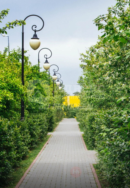 Квартира 1-комн., 33.8 м²