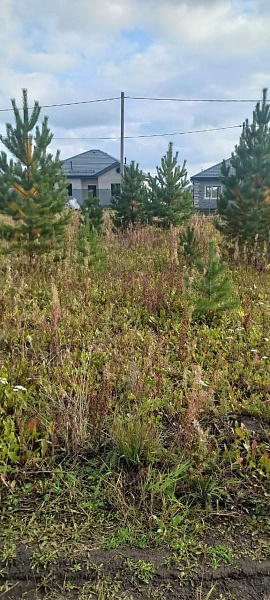 Участок, 6 сот.