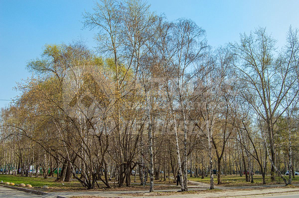 Квартира 1-комн., 28.4 м²